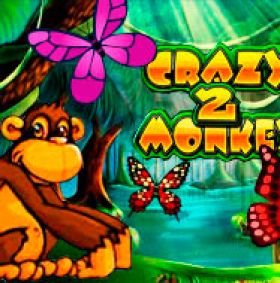 Игровой автомат Crazy Monkey 2 играть бесплатно Игровой автомат Crazy Monkey 2 играть бесплатно